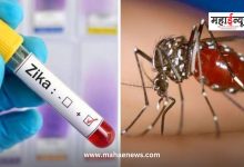 In the background of Zika virus infection in Maharashtra, the Union Ministry of Health announced guidelines