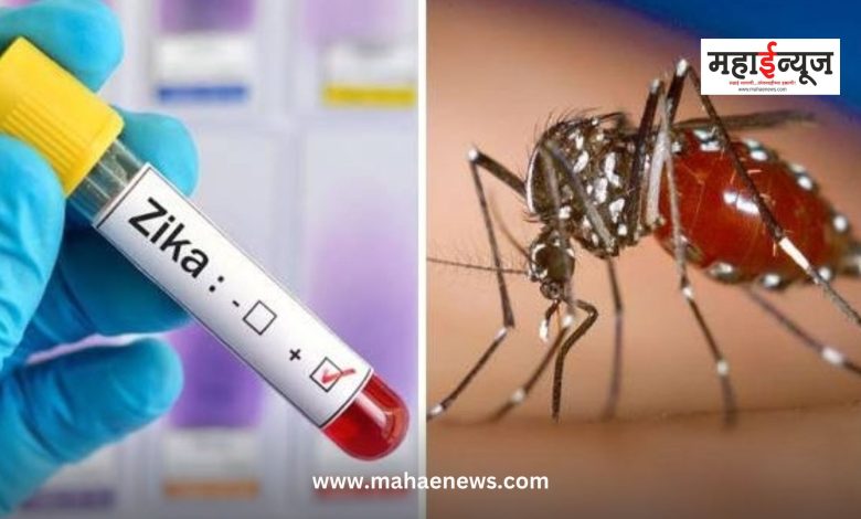 In the background of Zika virus infection in Maharashtra, the Union Ministry of Health announced guidelines