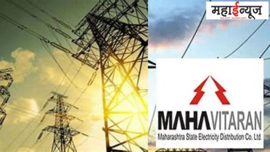 Government, negotiations, electricity, employees, salary hike, announced, Maharashtra, state electricity, labour, engineers, officers, joint, action, committee, success,