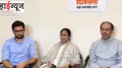 Mamta Banerjee, Mumbai, Uddhav Thackeray, visit, journalists, conferences,