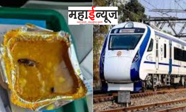 Vande Bharat, Express, Shocking, Type, meal, cockroach, found,