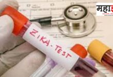 pune-zika-virus-thaiman-6-among-patients-2-pregnant-women