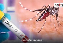 Zika cases in state rise to 80; Maximum 66 patients in Pune