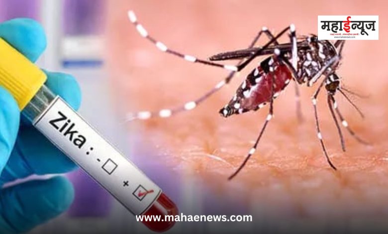 Zika cases in state rise to 80; Maximum 66 patients in Pune