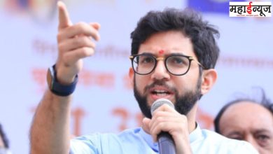 'Maharashtra bandh', ruling party, women, security, Aaditya Thackeray,