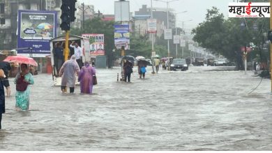 Maharashtra, Madhya Pradesh, Rajasthan, Gujarat, heavy rains, warning, In the state, red alert,