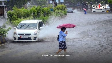 IMD yellow alert for rain for these districts