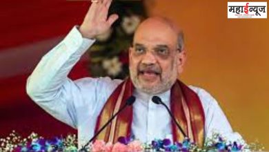 Amit Shah, country, election, speech, motion, center, movement,