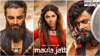 'The Legend of Maula Jatt', Pakistani, In India, released, announced,