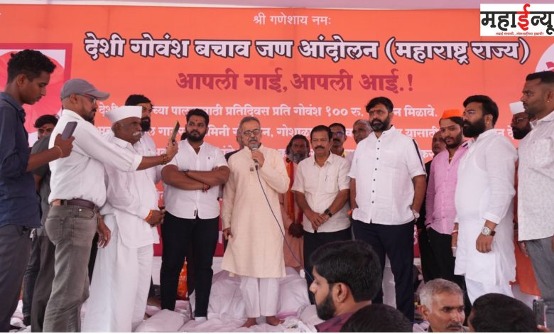 Cow shelters, grants, cattle, conservation, funds, dr. Milind Ekbote, hunger strike, suspended, Mahesh Landge,