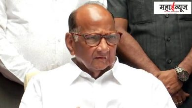 Chief Minister, Position, Face, Sharad Pawar, Commentary, Denial, election, support, minister, board, thing,