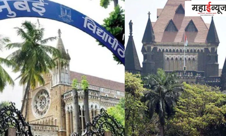 Mumbai, University, Senate, Election, Vote, Counting Process, Reserve, Seat, Yuvasena,