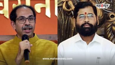 Conspiracy to create riots in the name of cows, Thackeray group criticized