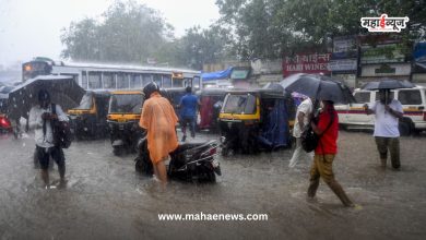 Rain has increased in the state, alert issued by Meteorological Department