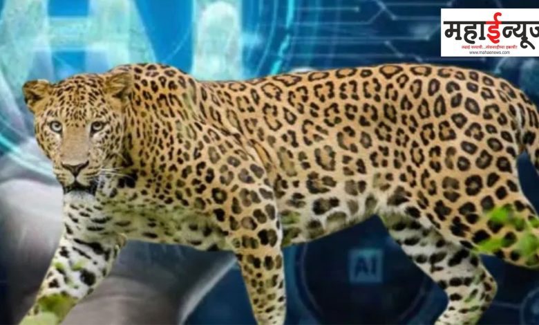 Pune, Artificial, Intelligence, Leopard, Settlement, system, developed, forest, environment, high, quality, sensors,