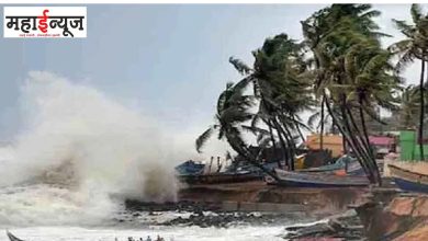 Cyclone, Dana, Impact, Cyclone, Odisha, Coastal, background, rain, probability,