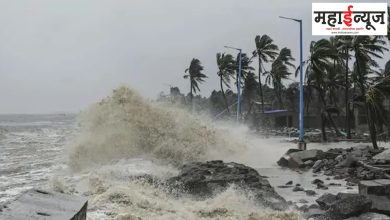 Dana, Cyclone, Bengal, Bay, Odisha, Storm, Match, School, College, Hotel, Closed,