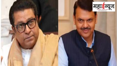 Fadnavis, Raj Thackeray, challenge, voter, union, color, opposition, Mahavikas, party, alliance,