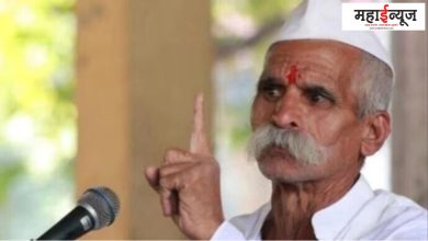 politics, power, economics, shudra, worthy, subject, sambhaji bhide, debate, suffering, statement, world, text, country, attack, shameless, people, society, Hindustan,