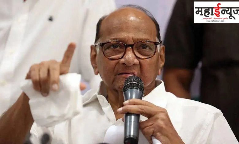 Nationalists, Groups, Candidates, Prospective, Lists, Sharad Pawar, Maidan, Voters, Sangh,