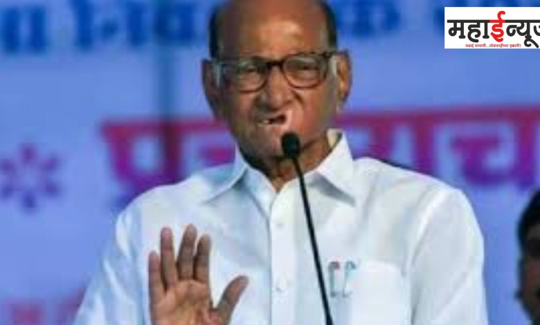 Sharad Pawar, Application, Hours, Balance, Candidates, Siddhi Kadam, canceled, Raju Khare, Zahir,