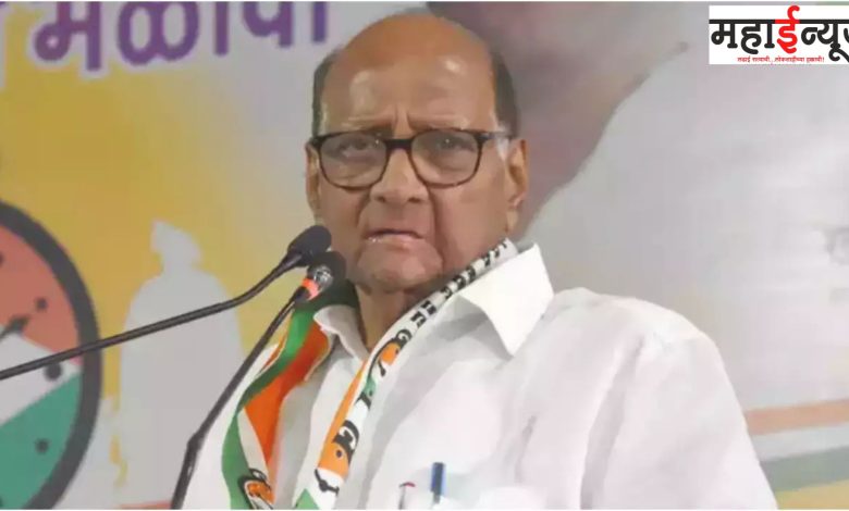 NCP, Sharad Pawar, Faction, Yeole, Manikrao Shinde, Election, In the fray, Shinde, Bhujbal, Kate, Takkar, 