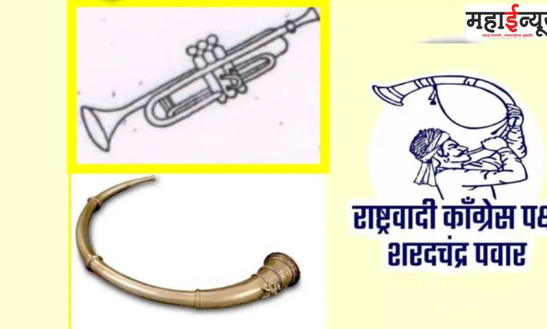 Lok Sabha, Elections, Tutari, Pipani, Challenge, Lok Sabha, Assembly, Sharad Pawar, Faction, Pipani, In Trouble,
