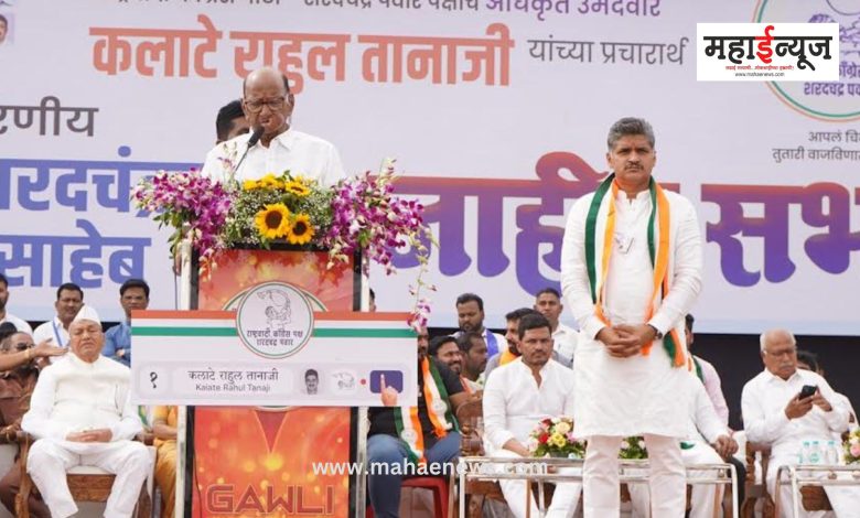 Mission Assembly Elections: Give a chance to Rahul who solves people's problems: Sharad Pawar