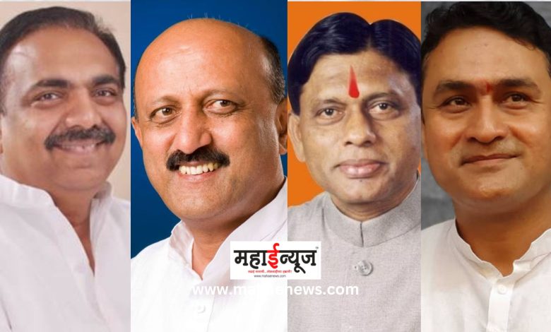 Satyajit Deshmukh of the pro-Shivajirao Naik Mahayuti campaigning in Shirala Constituency!