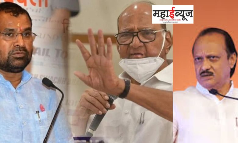 Sadabhau Khot, Personal, Criticism, Ajit Pawar, Warning, Sharad Pawar, Nephew, Deputy Chief Minister, Statement,