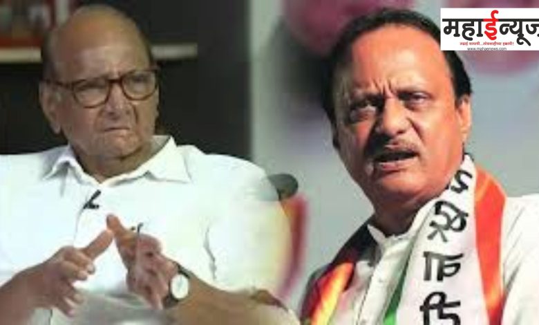 Sharad Pawar, Statement, Ajit Dada, Reaction, Life, Gotya,