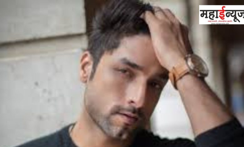 Fame, Actor, Nitin Chauhan, Death, Cause, Front, mental, treatment, end, work,