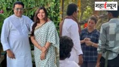 Tejaswini Pandit, Raj Thackeray, Videos, Posts, Reactions, Sir, fight, need,