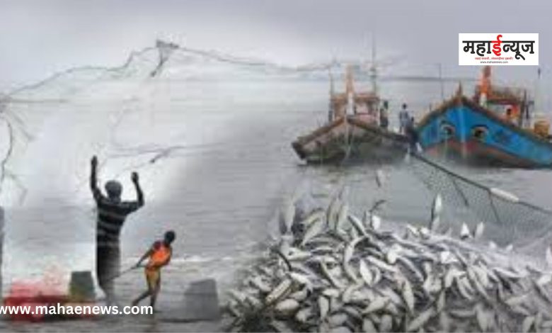 Golden opportunity for youth: Marine Fisheries, Sailing and Marine Diesel Engine Maintenance and Operation Training!