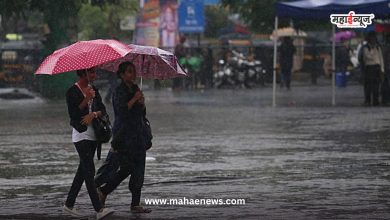 Rain likely in the state for the next 3 days, yellow alert in Maharashtra