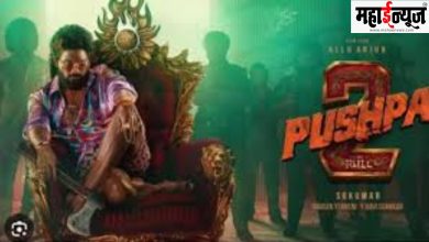 pushpa, film, stampede, event, sequence, Allu Arjun, Madhyaratri, Theater, Movies,