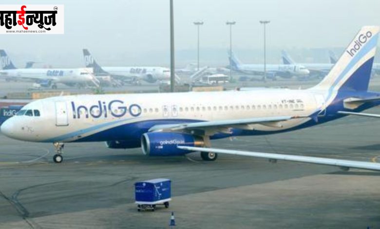 IndiGo, passengers, bumpers, offers, tickets, rates, big, reduction, IndiGo, India, big, airlines, companies,
