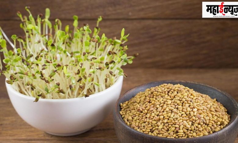 Mode, fenugreek, intake, health, beneficial, vitamin A, immunity, help,
