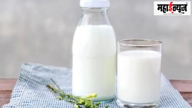 Winter, milk, health, benefits, Young, child, old, beneficial,