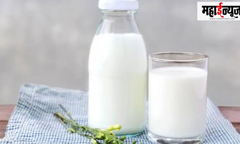 Winter, milk, health, benefits, Young, child, old, beneficial,