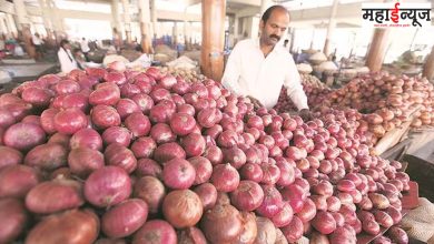 In India, onions, the highest, production, prices, skyrocketing, hailstorms, rains, crops, losses,