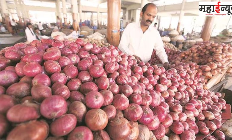 In India, onions, the highest, production, prices, skyrocketing, hailstorms, rains, crops, losses,