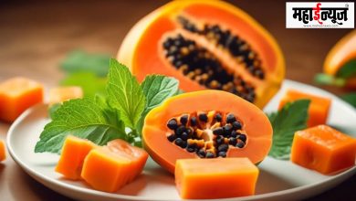 Papaya, healthy, beneficial, consumed, harmful, multi-talented, body, herbs, herbs,