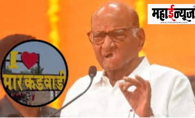 Sharad Pawar, Markadwadi, Daura, EVM, protest, center,