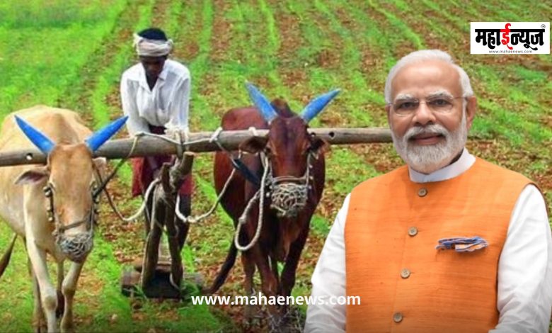 19th installment of PM Kisan Yojana to come on February 24