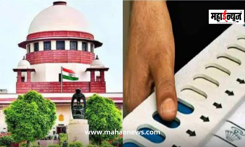 Hearing on local body elections today