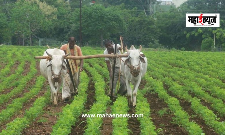 Prime Minister Narendra Modi's 'New Year Gift' to Farmers: Announcement of Special Discount on 'DAP' Fertilizers