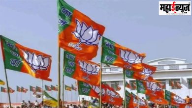 'BJP', Anoka, Funda, Delhi, Flag,