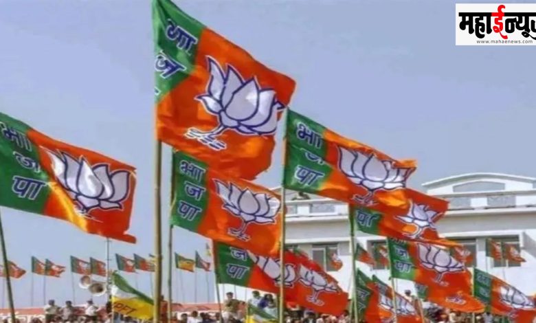 'BJP', Anoka, Funda, Delhi, Flag,