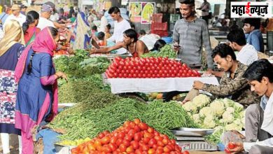 Prices of rural, parts, weekly, markets, leafy vegetables, vegetables, fell,